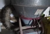 VENDO ABONADORA