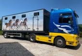 VOLVO TRANSPORTE DE CABALLOS – FM 12