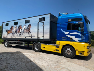 VOLVO TRANSPORTE DE CABALLOS – FM 12