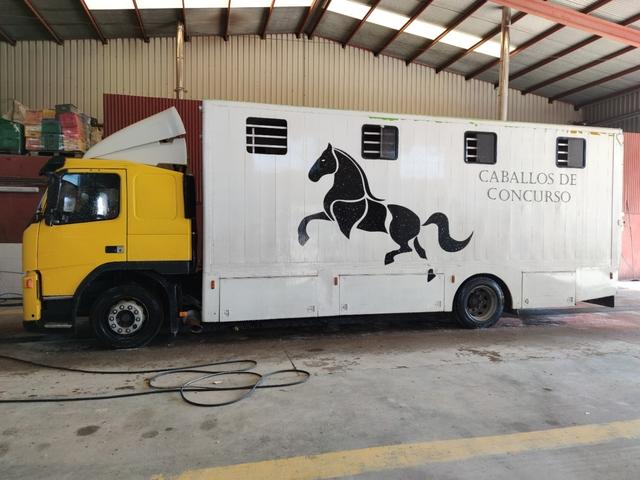 VOLVO TRANSPORTE DE CABALLOS – FM 12