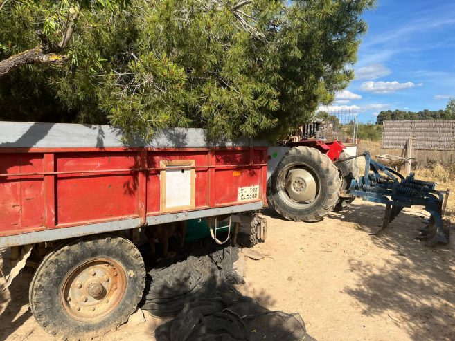 Tractores agrícolas Massey Ferguson 147