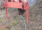 DISCO FORESTAL