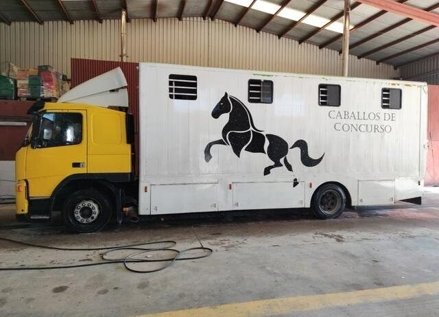 VOLVO TRANSPORTE DE CABALLOS – FM 12