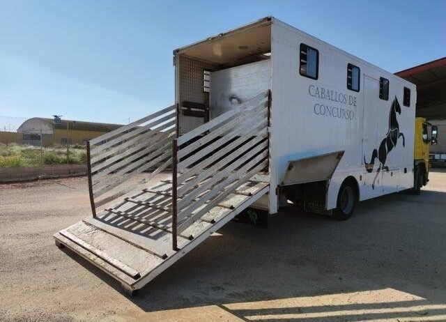 VOLVO TRANSPORTE DE CABALLOS – FM 12