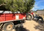 Tractores agrícolas Massey Ferguson 147